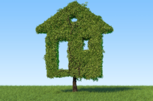 Green Property Tree